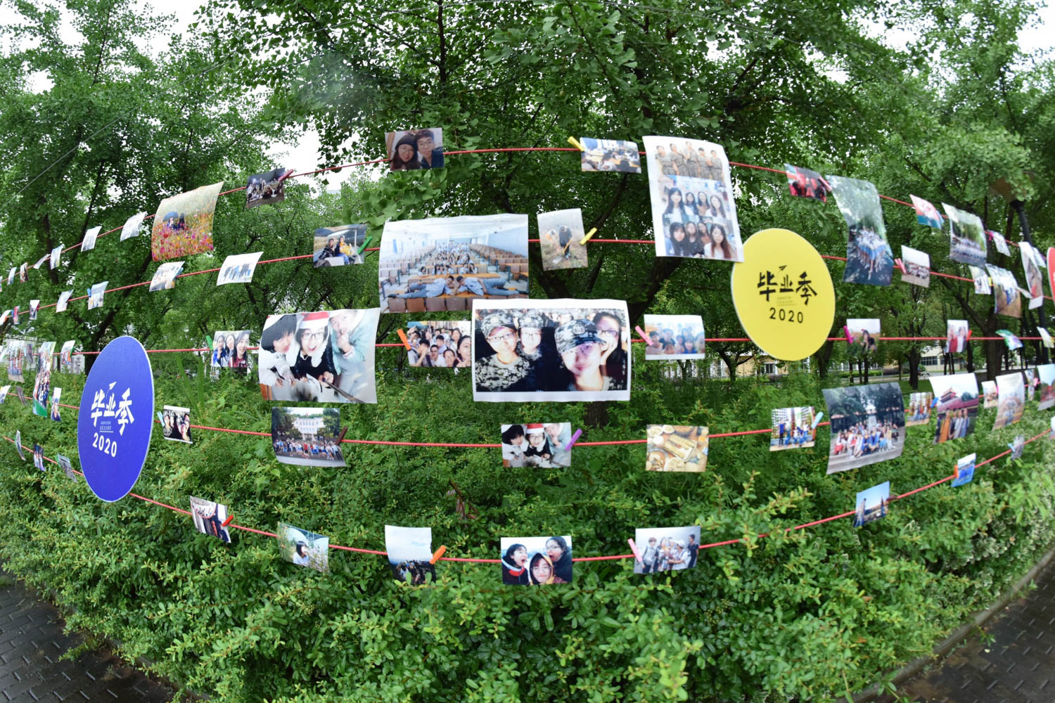 毕业典礼上的照片墙，承载着毕业生们的回忆【小付 摄】